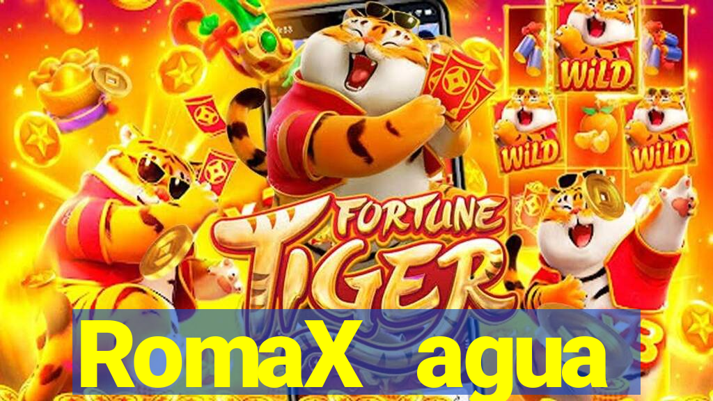 RomaX agua sanitaria fispq agua sanitaria romax